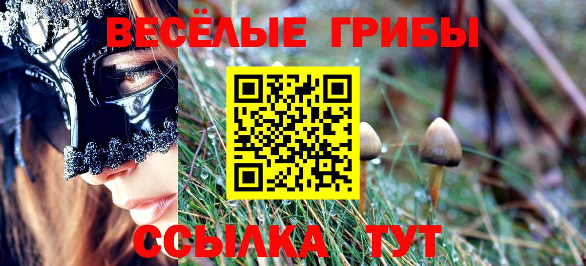 Галлюциногенные грибы мицелий Серов