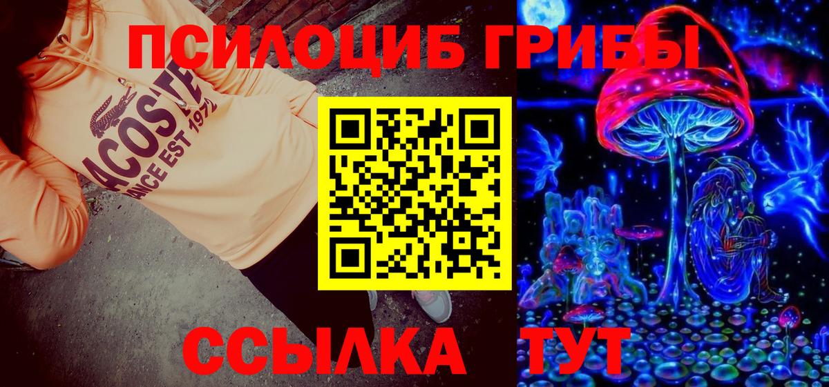Серов  Псилоцибиновые грибы прущие грибы  Вход с VPN 